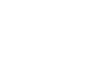 Raynok